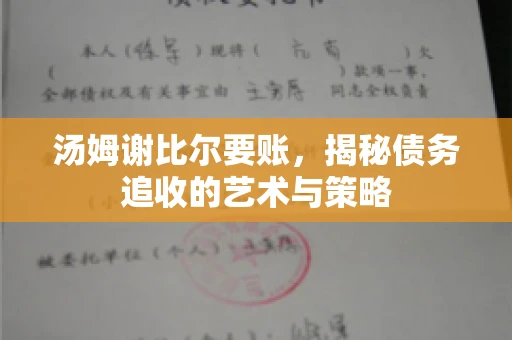 汤姆谢比尔要账，揭秘债务追收的艺术与策略