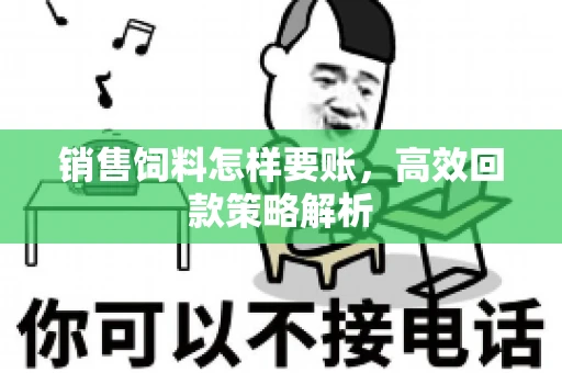 销售饲料怎样要账，高效回款策略解析