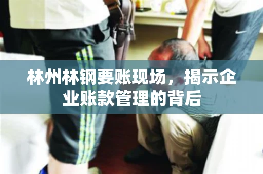 林州林钢要账现场，揭示企业账款管理的背后
