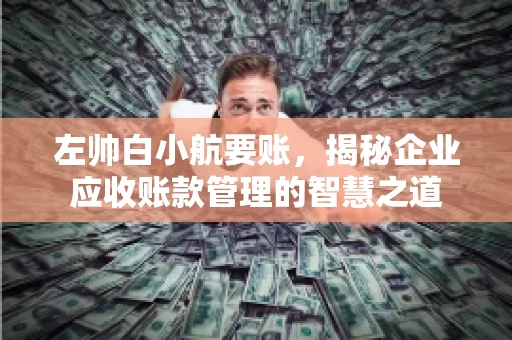 左帅白小航要账，揭秘企业应收账款管理的智慧之道