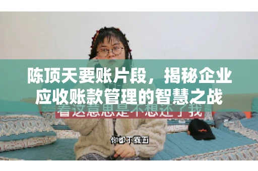 陈顶天要账片段，揭秘企业应收账款管理的智慧之战
