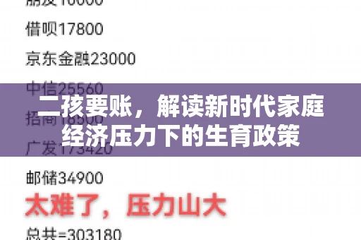 二孩要账，解读新时代家庭经济压力下的生育政策