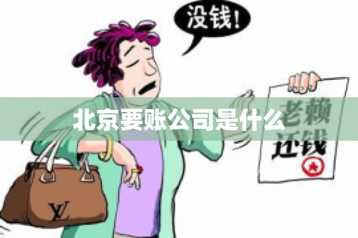 北京要账公司是什么