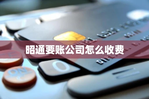 昭通要账公司怎么收费
