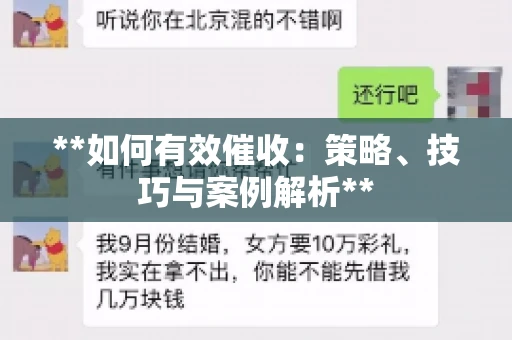 **如何有效催收：策略、技巧与案例解析**