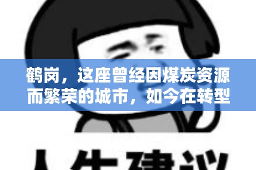 鹤岗，这座曾经因煤炭资源而繁荣的城市，如今在转型中寻求新的发展路径。在这座城市中，有一家名为“鹤岗要账公司”的企业，它以专业的服务，在众多企业中脱颖而出。今天，就让我们一起来了解一下这家公司，看看它是如何在这个充满挑战的市场中立足的。