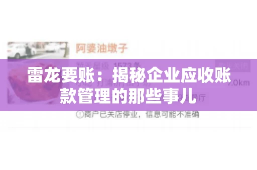 雷龙要账：揭秘企业应收账款管理的那些事儿