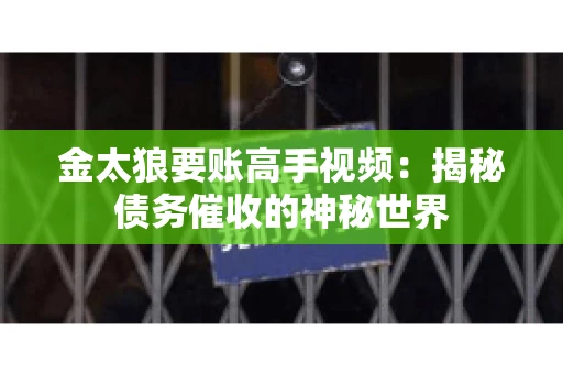 金太狼要账高手视频：揭秘债务催收的神秘世界