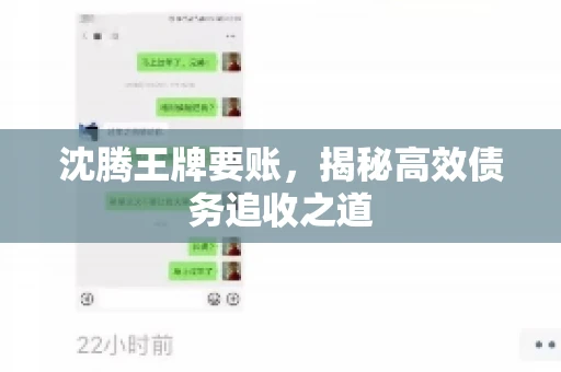 沈腾王牌要账，揭秘高效债务追收之道
