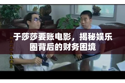 于莎莎要账电影，揭秘娱乐圈背后的财务困境