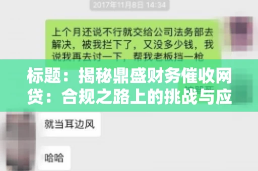 标题：揭秘鼎盛财务催收网贷：合规之路上的挑战与应对