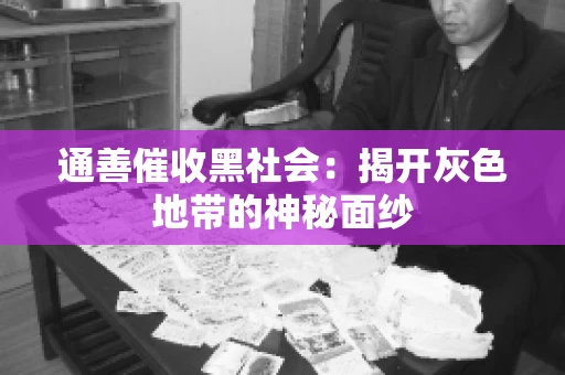 通善催收黑社会：揭开灰色地带的神秘面纱