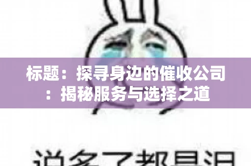 标题：探寻身边的催收公司：揭秘服务与选择之道
