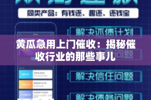 黄瓜急用上门催收：揭秘催收行业的那些事儿