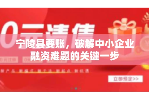 宁陵县要账，破解中小企业融资难题的关键一步